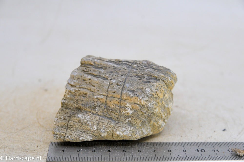 Elephant Skin Rock S106 - Hardscape.nlSmall