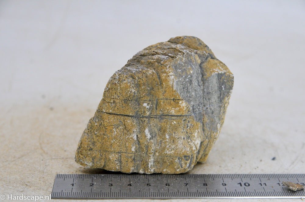 Elephant Skin Rock S106 - Hardscape.nlSmall
