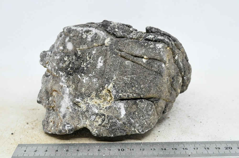 Elephant Skin Rock XL44 - Hardscape.nlExtra Large