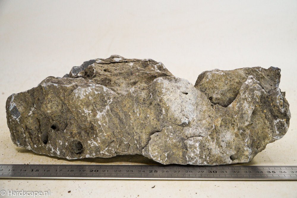 Elephant Skin Rock XL49 - Hardscape.nlExtra Large