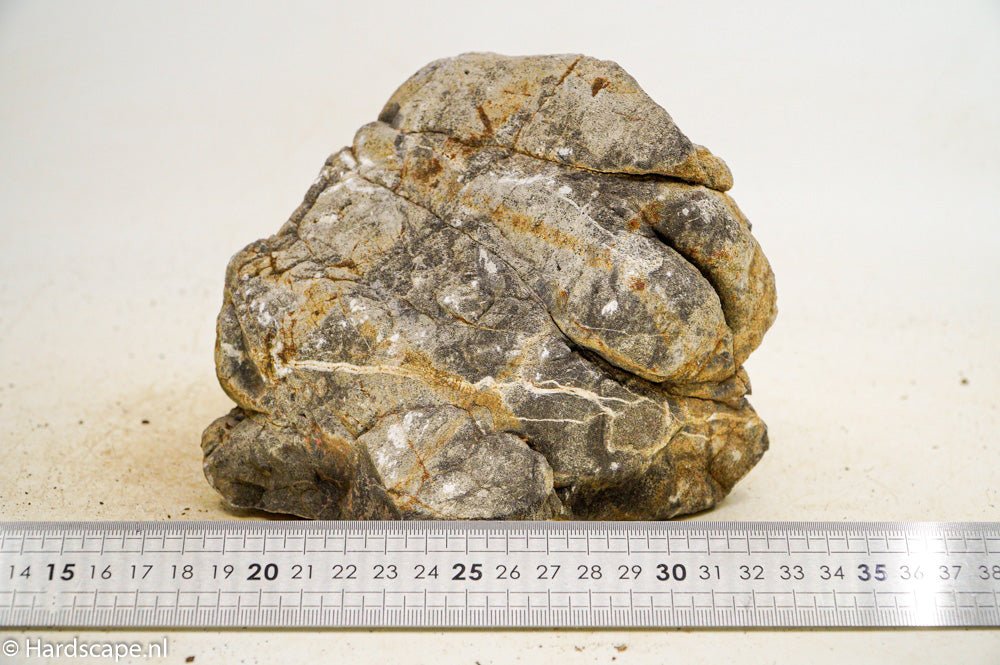 Elephant Skin Rock XL50 - Hardscape.nlExtra Large