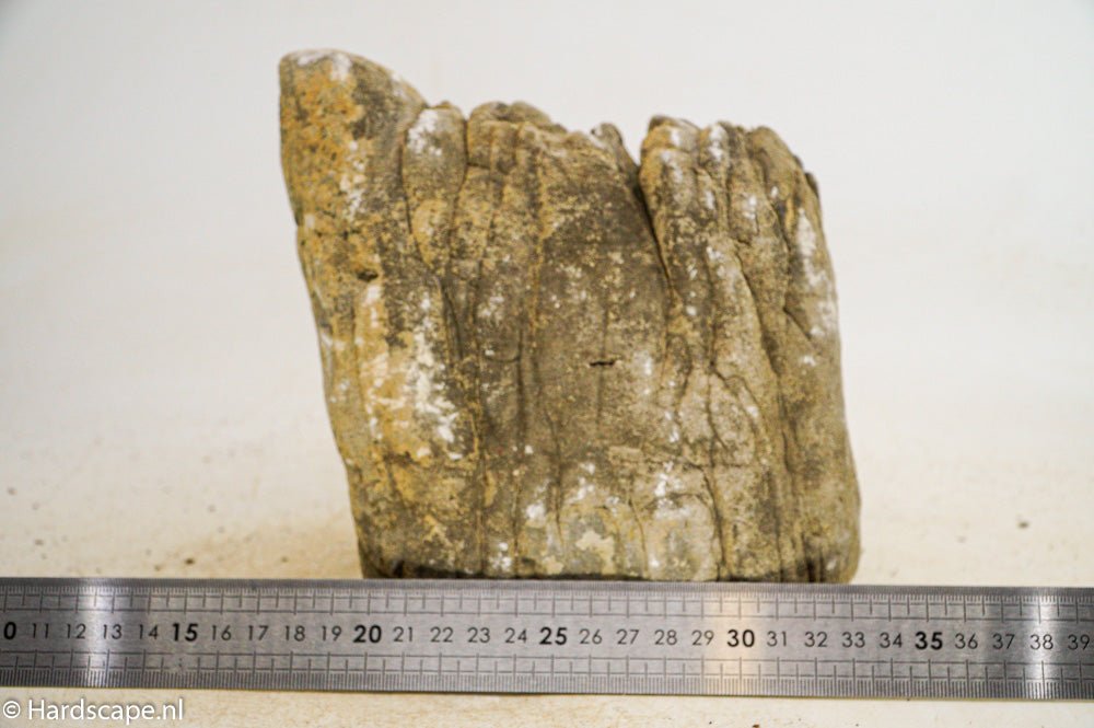 Elephant Skin Rock XL57 - Hardscape.nlExtra Large