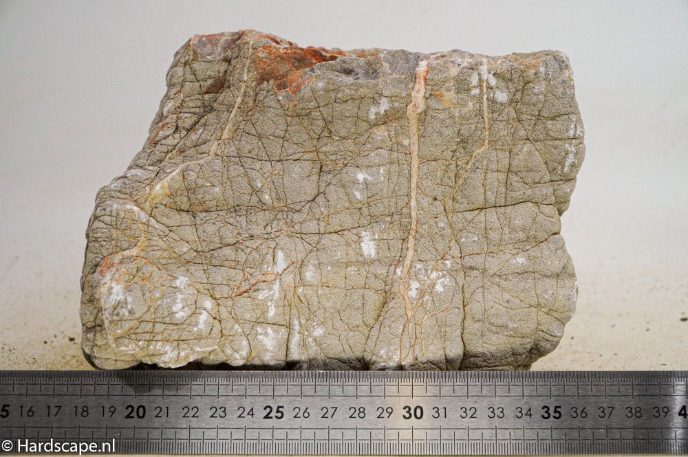 Elephant Skin Rock XL58 - Hardscape.nlExtra Large