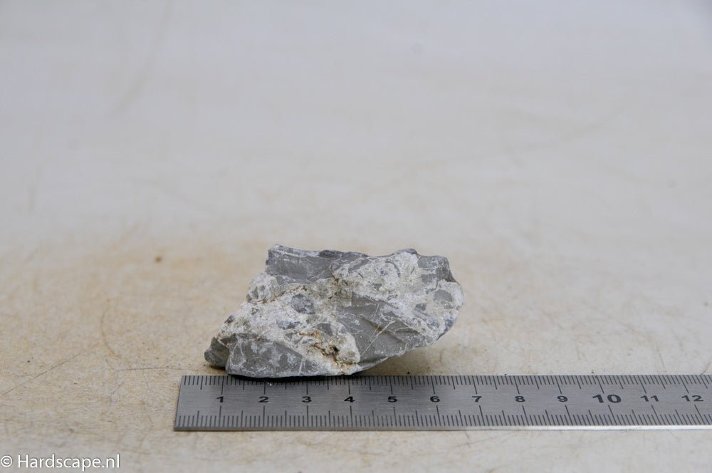 Elephant Skin Rock XS82 - Hardscape.nlExtra Small