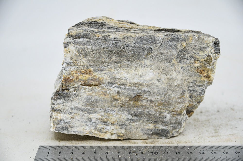 Glimmer Wood Rock L12 - Hardscape.nlLarge