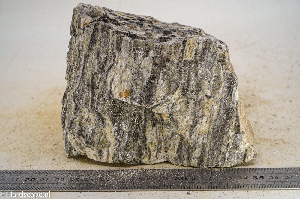 Glimmer Wood Rock L24 - Hardscape.nlLarge