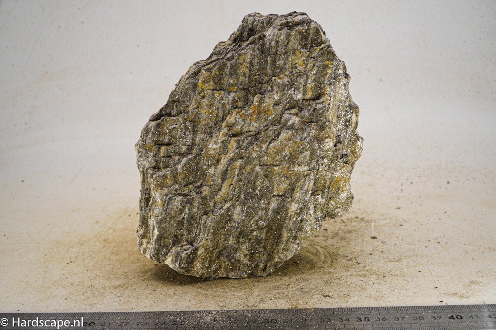 Glimmer Wood Rock L30 - Hardscape.nlLarge