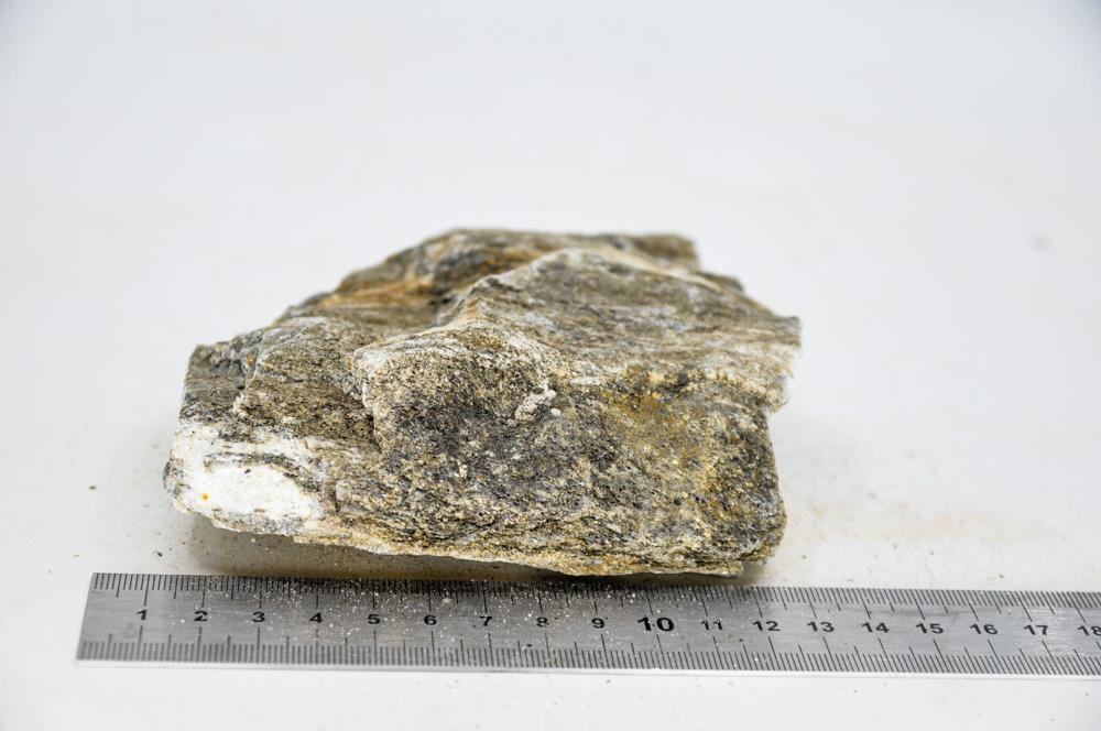 Glimmer Wood Rock M11 - Hardscape.nlMedium