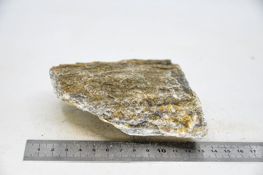 Glimmer Wood Rock M11 - Hardscape.nlMedium