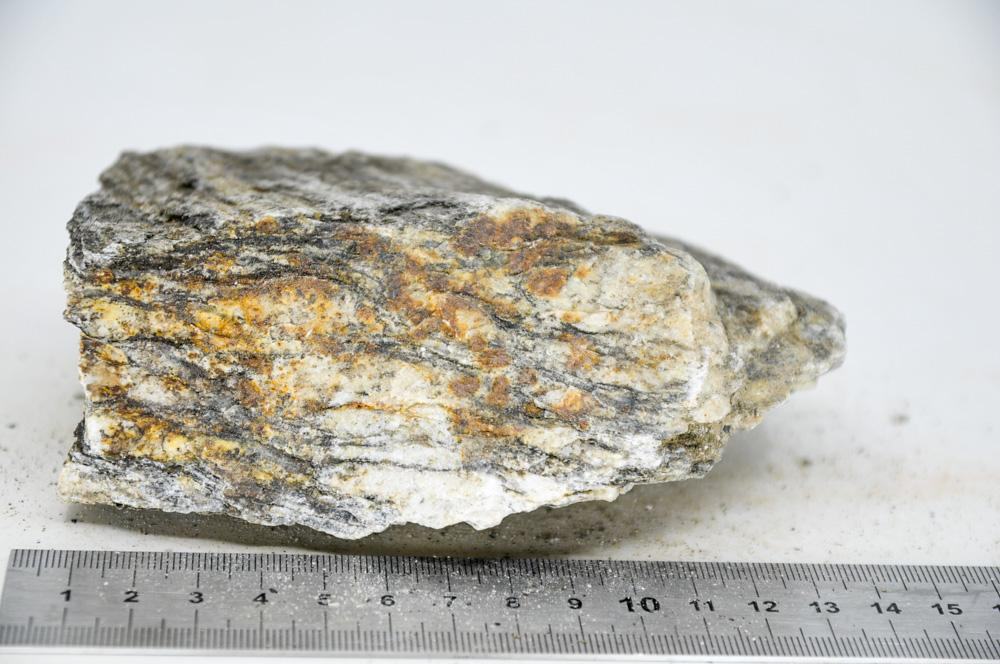 Glimmer Wood Rock M14 - Hardscape.nlMedium