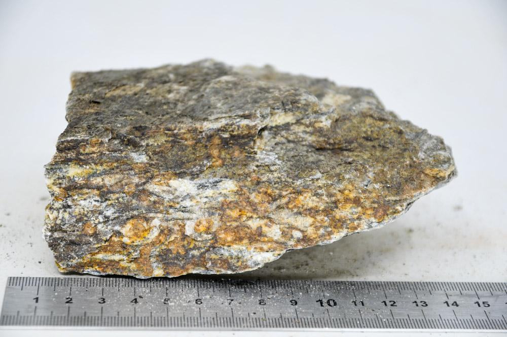 Glimmer Wood Rock M14 - Hardscape.nlMedium