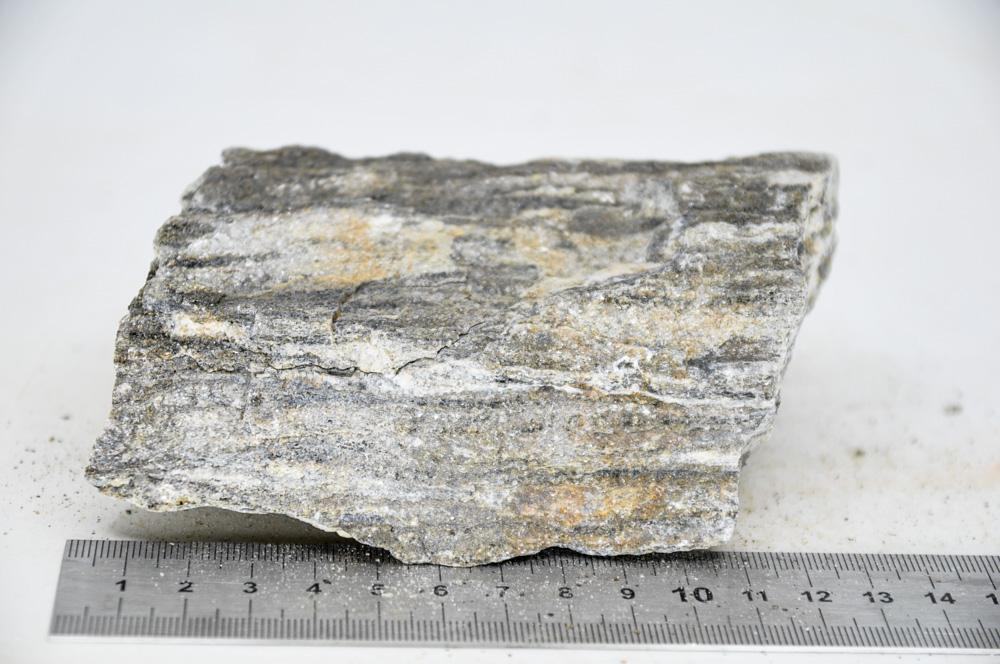 Glimmer Wood Rock M15 - Hardscape.nlMedium