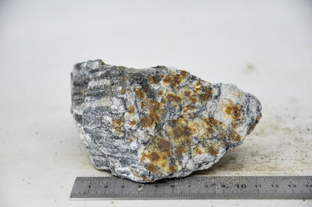 Glimmer Wood Rock M18 - Hardscape.nlMedium