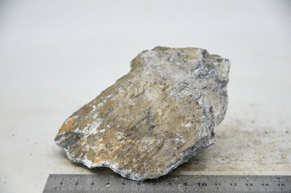 Glimmer Wood Rock M18 - Hardscape.nlMedium
