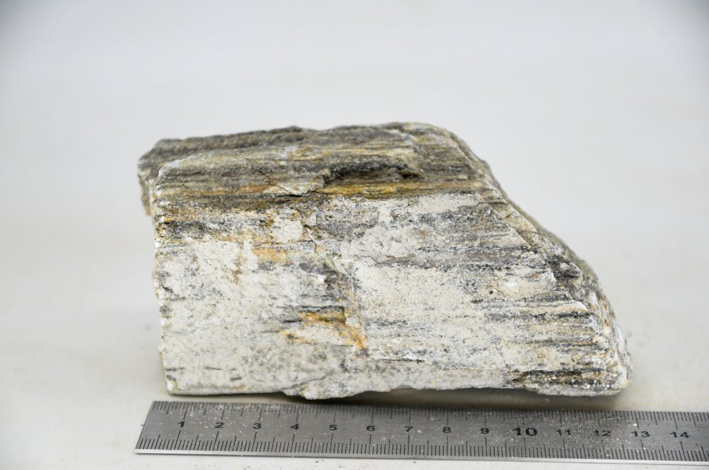 Glimmer Wood Rock M19 - Hardscape.nlMedium