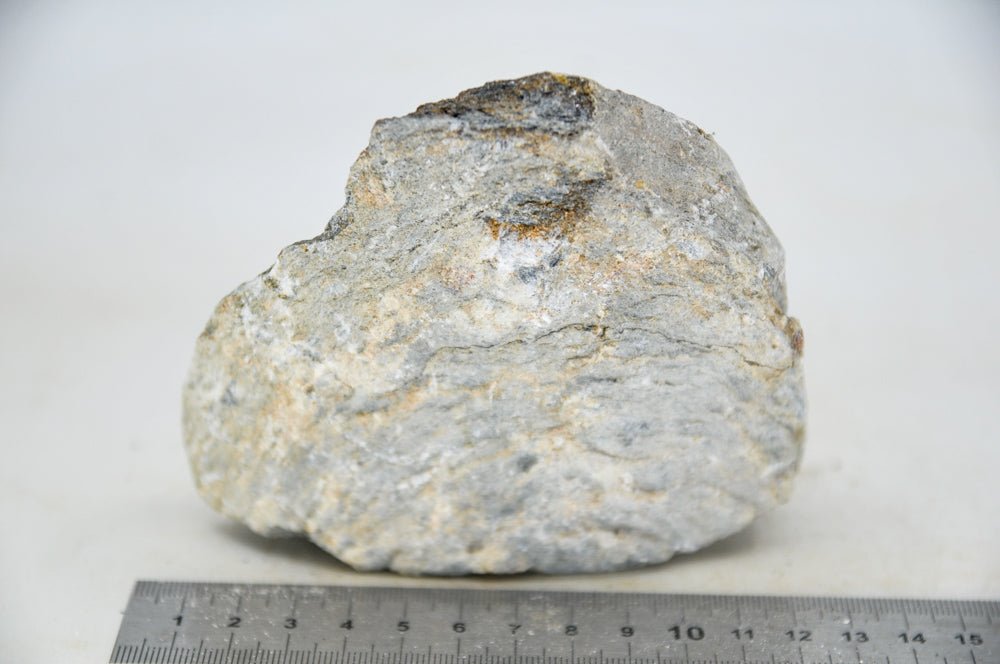 Glimmer Wood Rock M21 - Hardscape.nlMedium