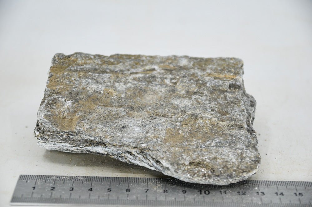 Glimmer Wood Rock M23 - Hardscape.nlMedium