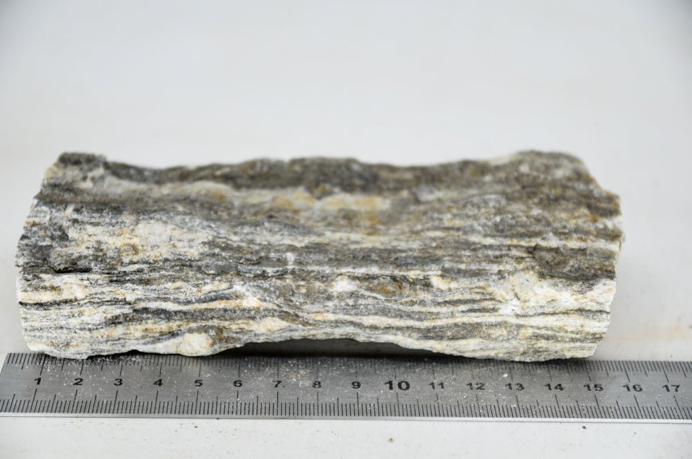 Glimmer Wood Rock M28 - Hardscape.nlMedium