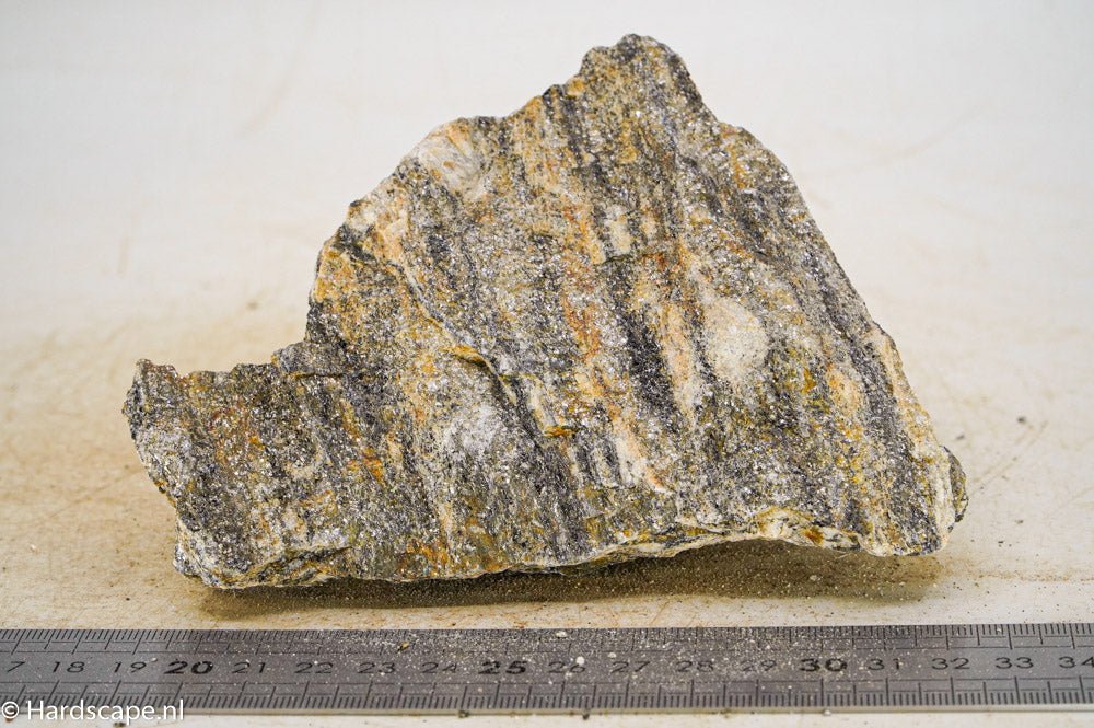 Glimmer Wood Rock M31 - Hardscape.nlMedium