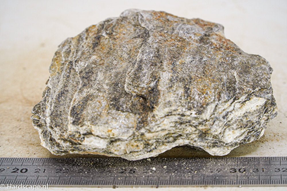 Glimmer Wood Rock M32 - Hardscape.nlMedium