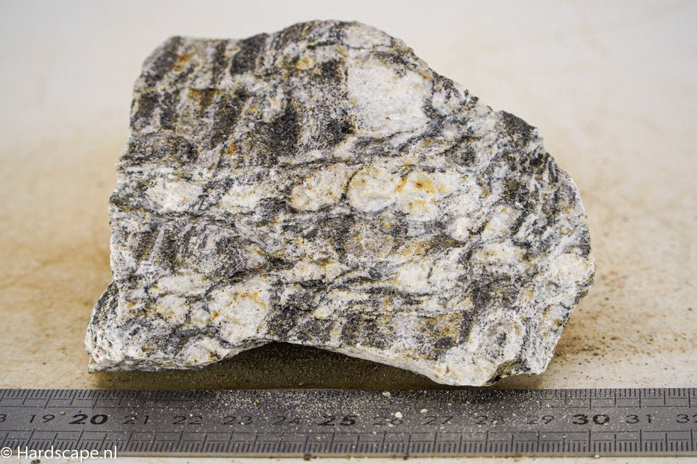 Glimmer Wood Rock M33 - Hardscape.nlMedium