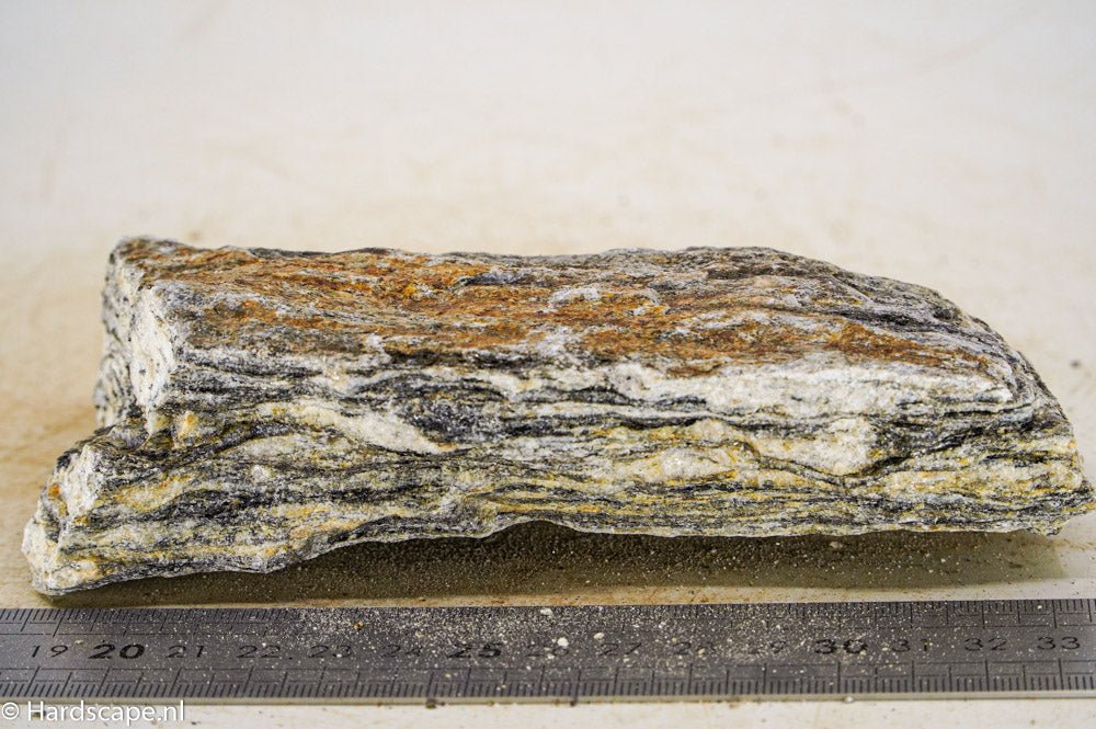 Glimmer Wood Rock M34 - Hardscape.nlMedium