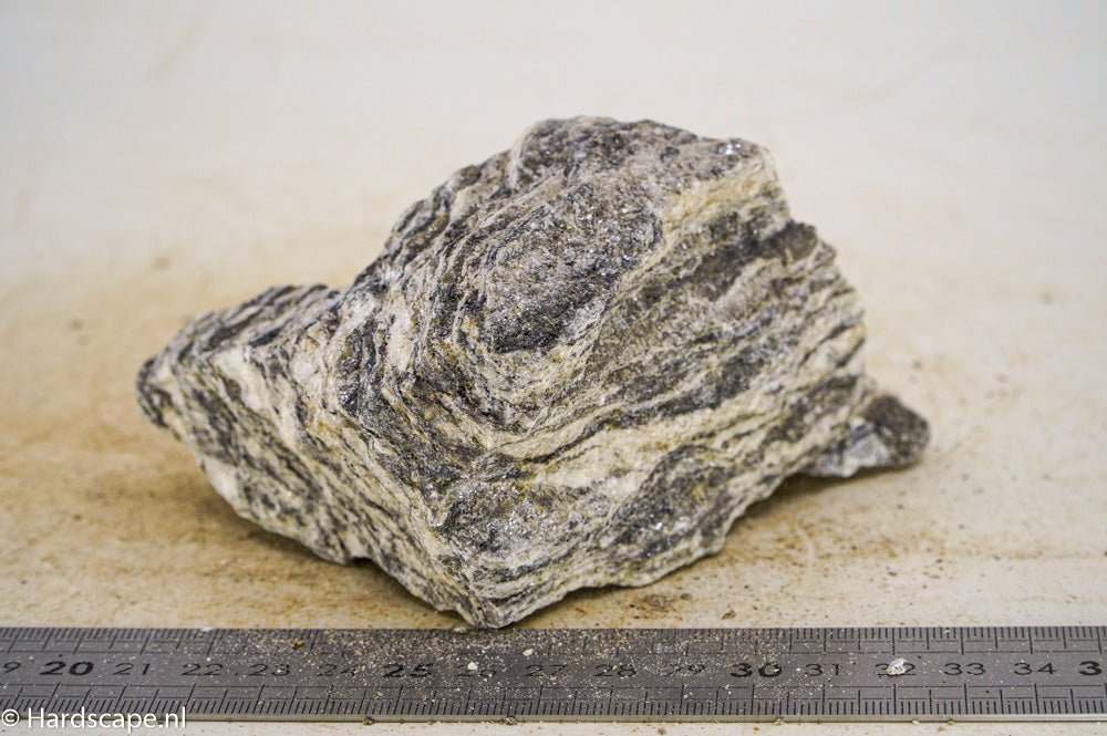 Glimmer Wood Rock M40 - Hardscape.nlMedium