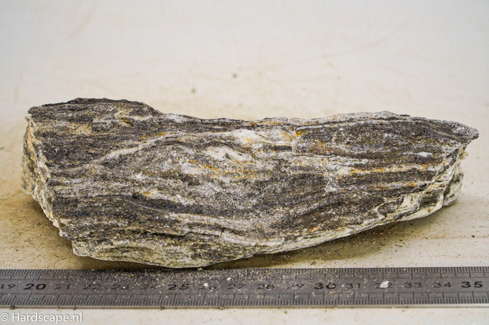 Glimmer Wood Rock M41 - Hardscape.nlMedium