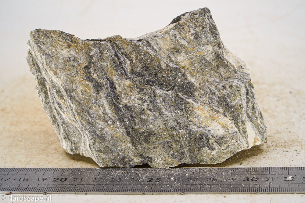 Glimmer Wood Rock M42 - Hardscape.nlMedium