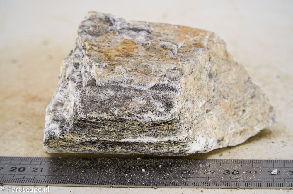 Glimmer Wood Rock M43 - Hardscape.nlMedium