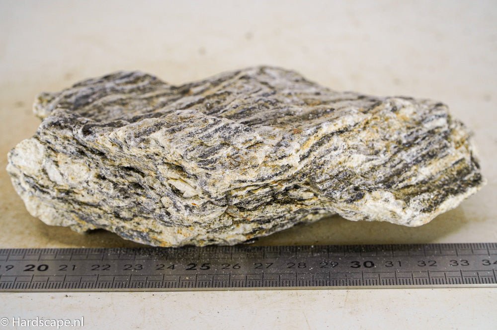 Glimmer Wood Rock M44 - Hardscape.nlMedium