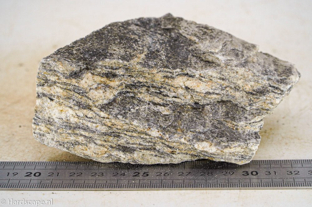 Glimmer Wood Rock M46 - Hardscape.nlMedium