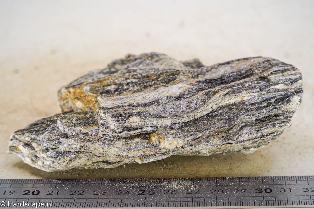 Glimmer Wood Rock M48 - Hardscape.nlMedium