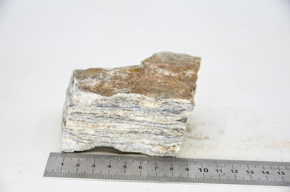 Glimmer Wood Rock M4 - Hardscape.nlMedium