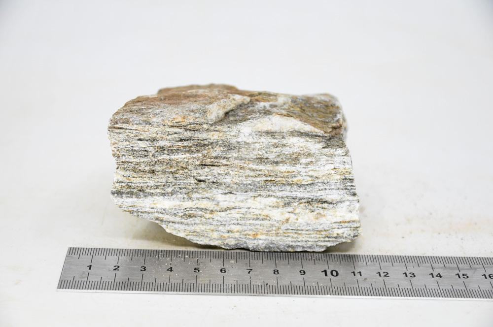 Glimmer Wood Rock M4 - Hardscape.nlMedium