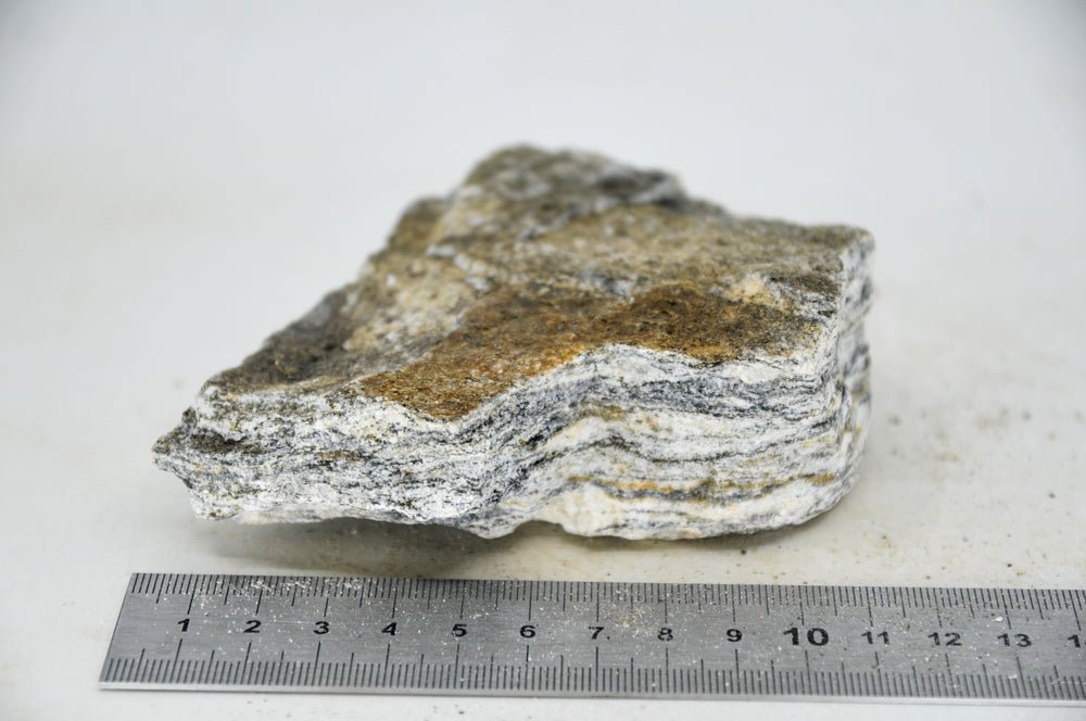 Glimmer Wood Rock S15 - Hardscape.nlSmall