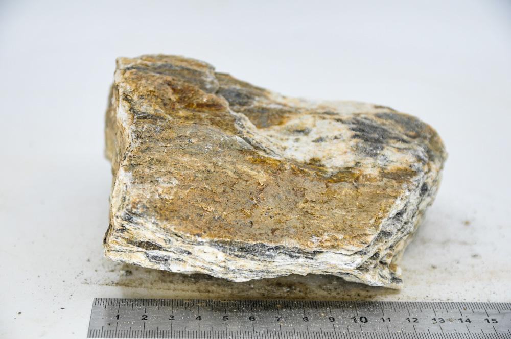 Glimmer Wood Rock XL11 - Hardscape.nlExtra Large
