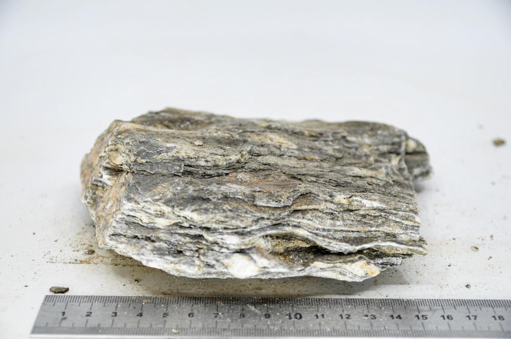 Glimmer Wood Rock XL14 - Hardscape.nlExtra Large