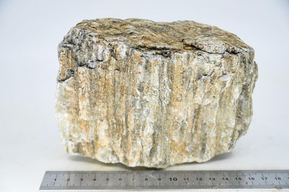 Glimmer Wood Rock XL15 - Hardscape.nlExtra Large