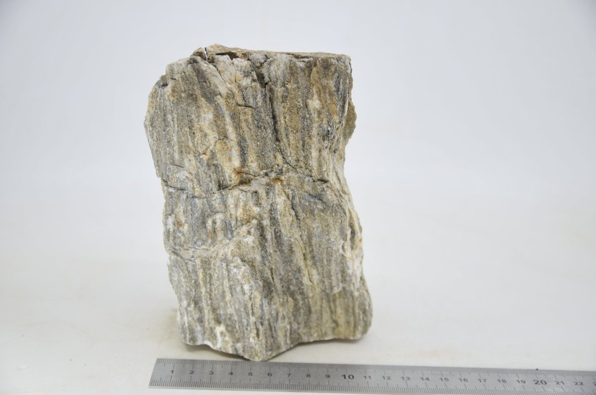 Glimmer Wood Rock XL16 - Hardscape.nlExtra Large