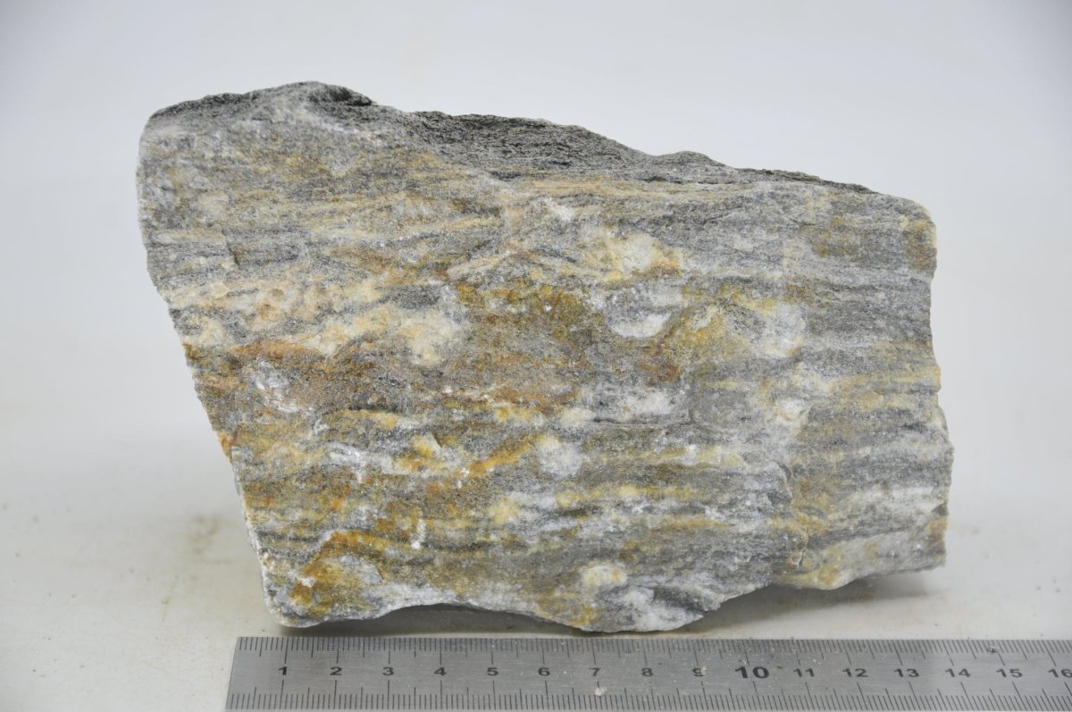 Glimmer Wood Rock XL22 - Hardscape.nlExtra Large