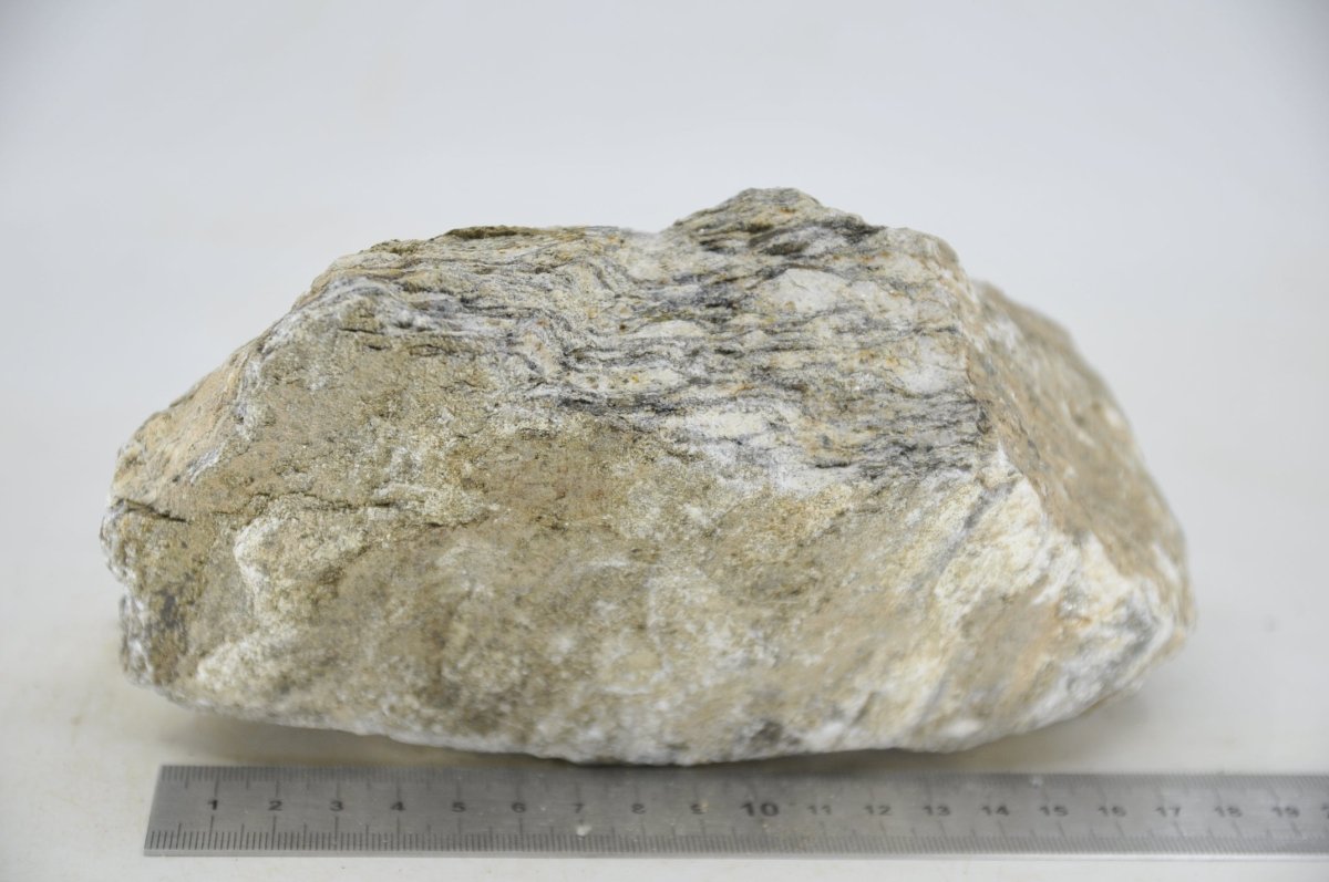 Glimmer Wood Rock XL23 - Hardscape.nlExtra Large