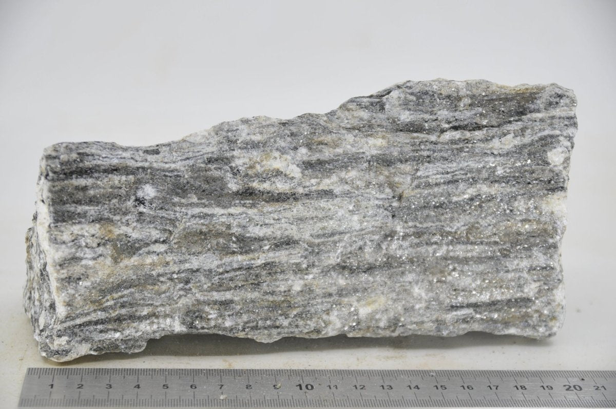 Glimmer Wood Rock XL24 - Hardscape.nlExtra Large
