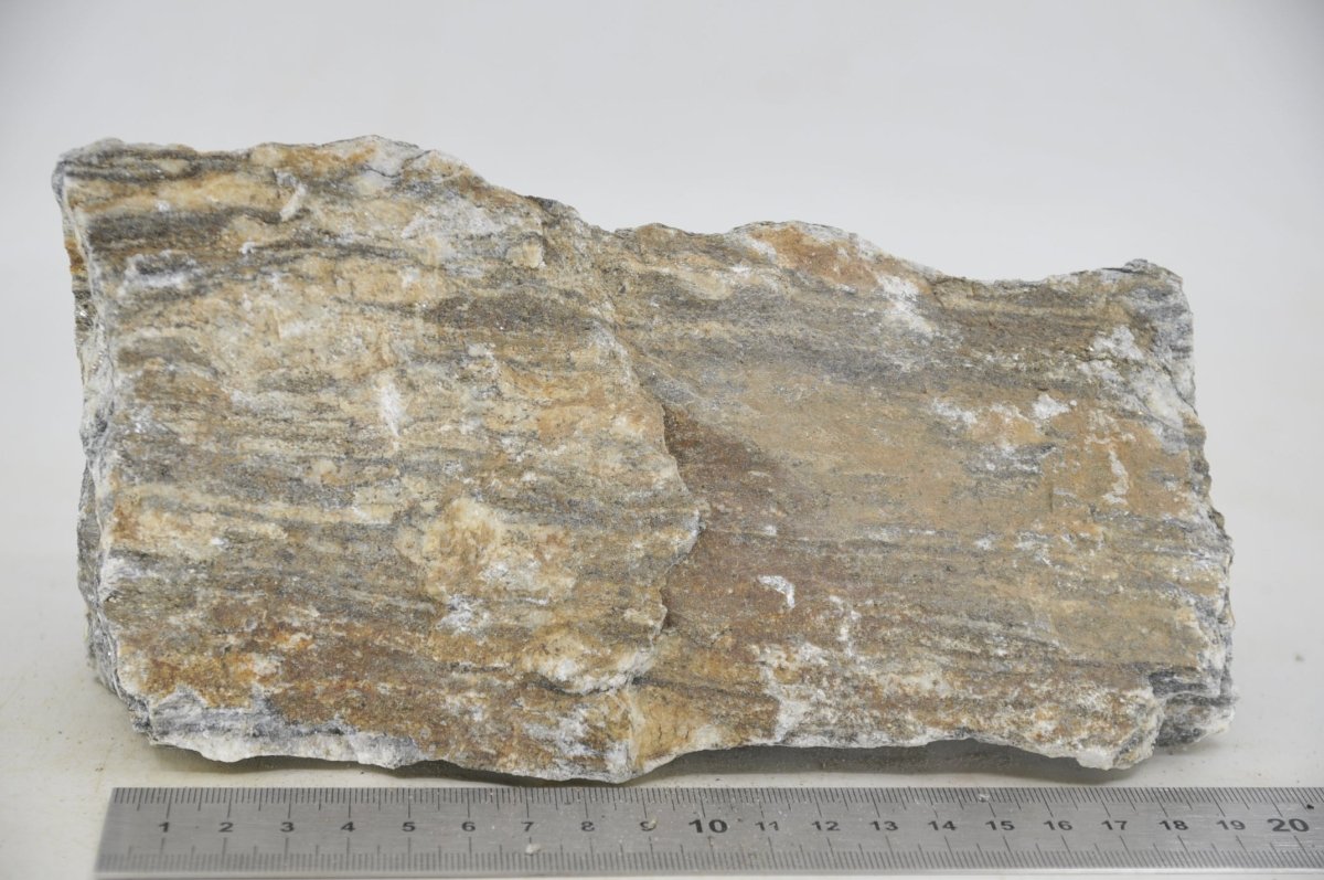 Glimmer Wood Rock XL24 - Hardscape.nlExtra Large