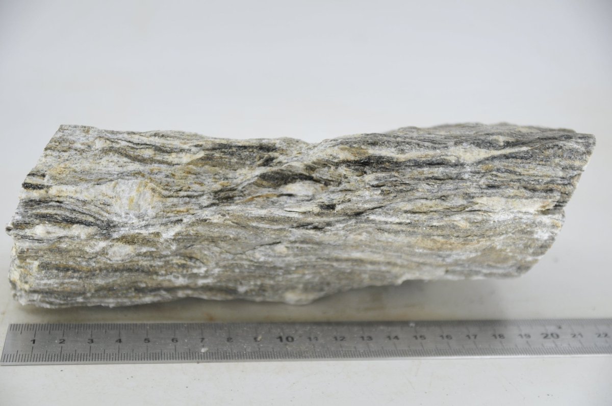 Glimmer Wood Rock XL25 - Hardscape.nlExtra Large