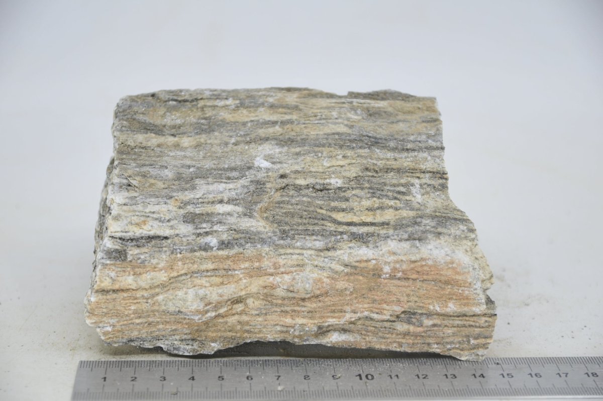 Glimmer Wood Rock XL26 - Hardscape.nlExtra Large