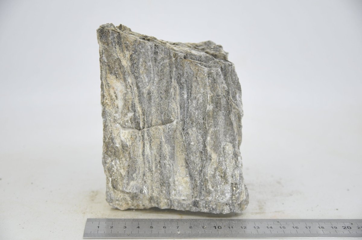 Glimmer Wood Rock XL26 - Hardscape.nlExtra Large
