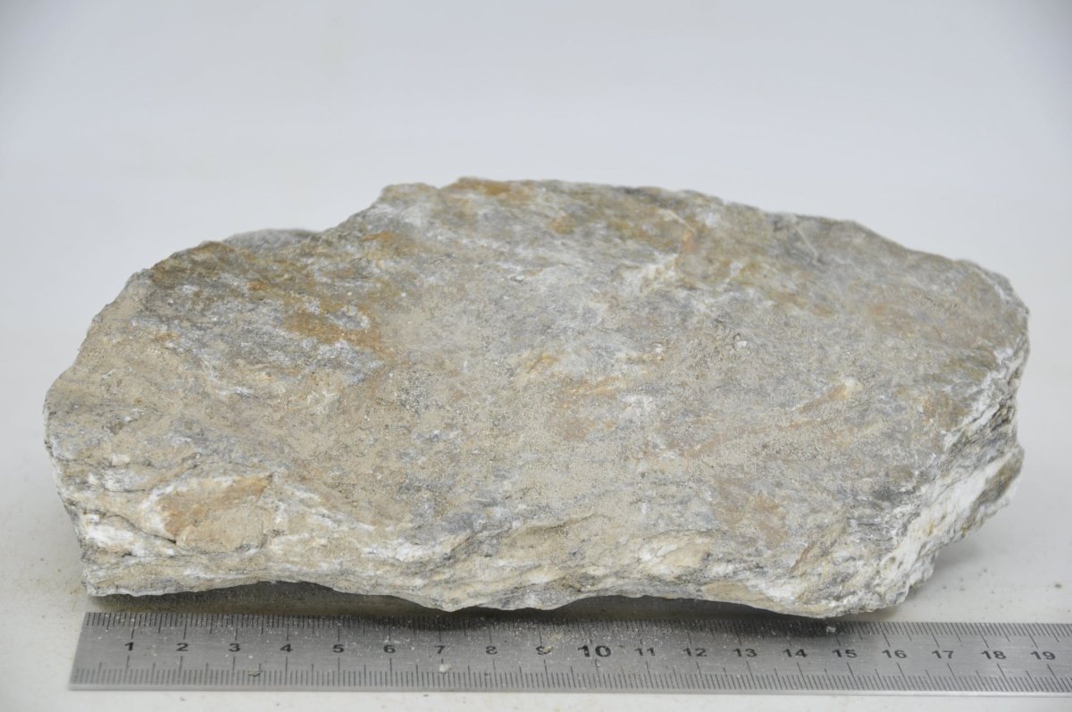 Glimmer Wood Rock XL27 - Hardscape.nlExtra Large
