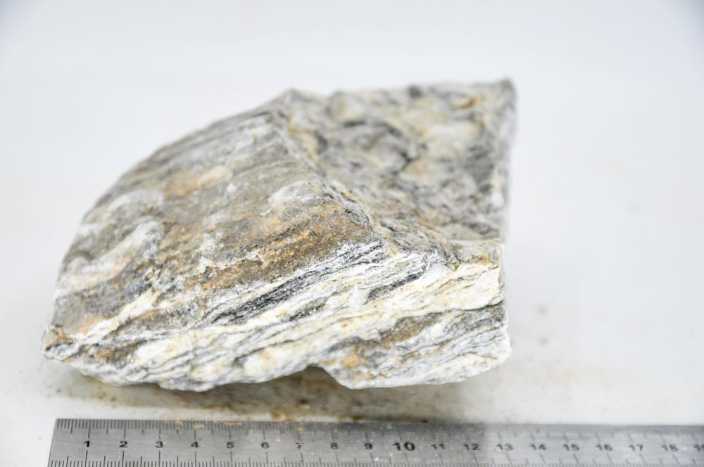 Glimmer Wood Rock XL2 - Hardscape.nlExtra Large