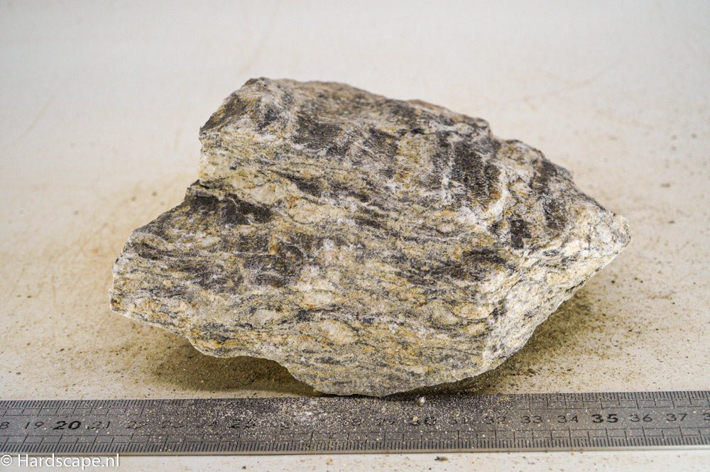 Glimmer Wood Rock XL33 - Hardscape.nlExtra Large
